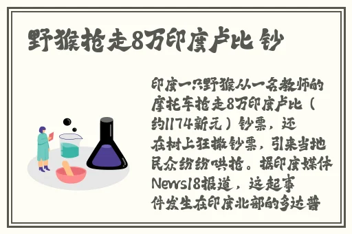 RAPPER一姐潮水仙踪林欢迎您